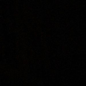 Meet your Posher, Colt